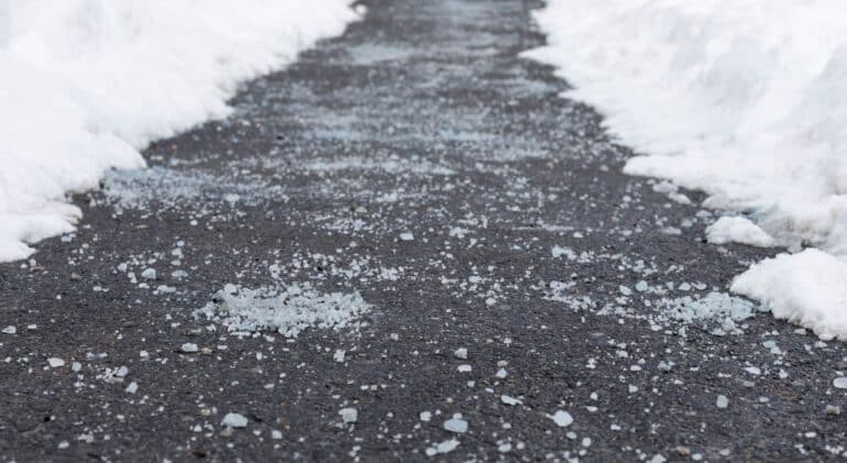 salt snow damage
