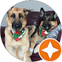 Robert Evans profile picture